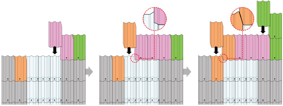 ขั้นตอนการติดตั้ง กระเบื้องแผ่นใส่ลอนคู่ วิธีที่3