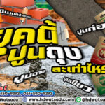 ปูนถุงละเท่าไหร่